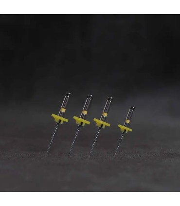 فایل روتاری کودکان