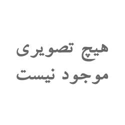 یارادنت